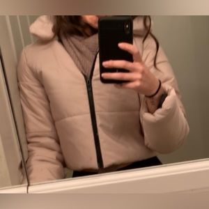 Pretty little thing cropped beige puffer jacket